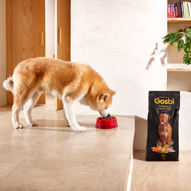 Exclusive Grain Free Dog Adult Maxi Light Exclusive Grain Free Dog Adult Maxi Light